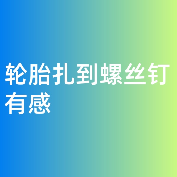 鈀碳回收，輪胎扎到螺絲釘有感